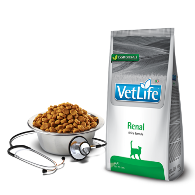 Farmina Vet Life Cat Renal 400 g